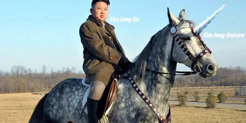 kim jong unicorn