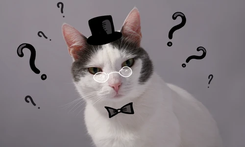 1 shutterstock 323616602 jpg jpeg