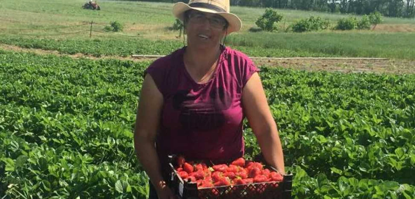 Oamenii susţin că peste 500 de tineri din zonă au plecat să muncească în străinătate