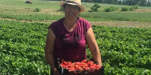 Fermierii susţin că nu mai reuşesc să găsească forţă de muncă