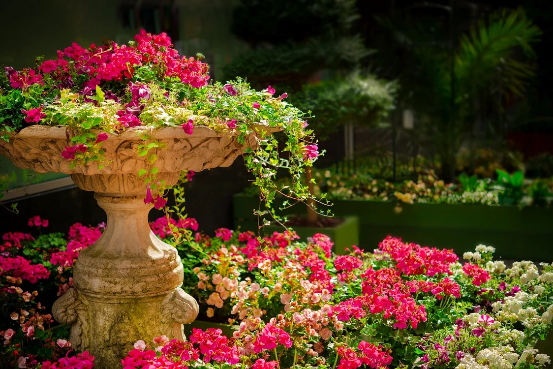 Grădină / foto: Pixabay 