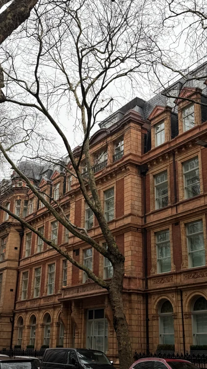 Casele vechi cu copaci bătrâni ale Londrei. FOTO: Ana-Maria Șchiopu