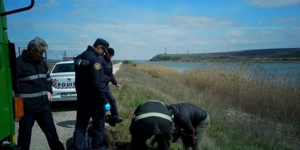 cadavru canal foto isu