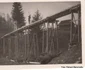 Căi ferate forestiere din Valea Jiului Anul 1956 Foto Richard Marschalko (1) jpg