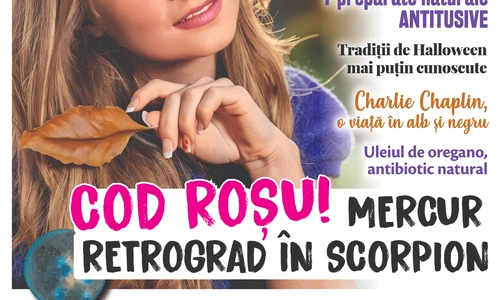 WhatsApp Image 2025 10 06 at 11 07 47 (1) jpeg