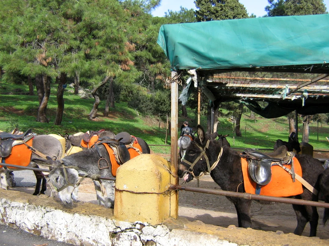 Istanbul 173 jpg
