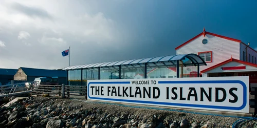 Insulele Falkland FOTO Shutterstock jpg