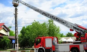 Puiul de barza a fost dus in siguranta in cuibul sau jpeg