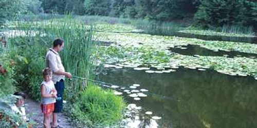 Reşiţa: VIDEO Bălţile cărăşene, la modă printre pescari