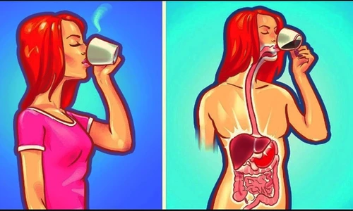 1 85096 original jpg jpeg