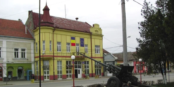 primaria orasului seini