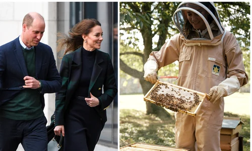 FotoJet Kate stup jpg