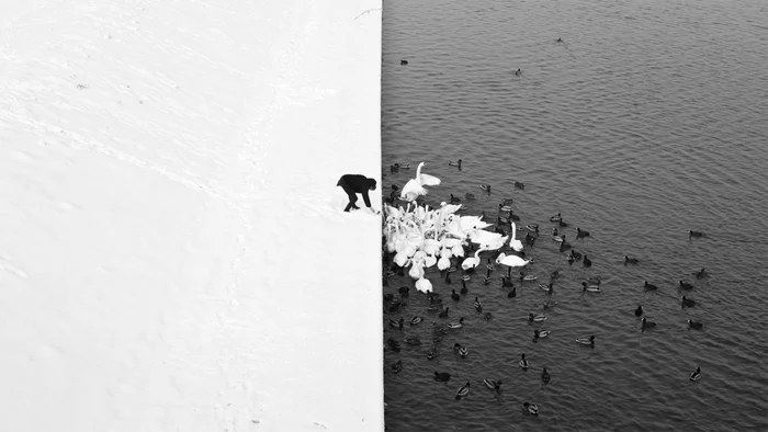 fotografie perfecta simetrie foto Marcin Ryczek