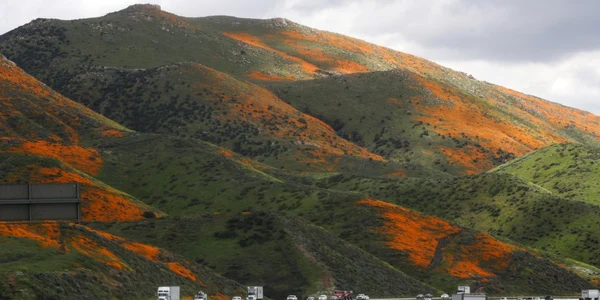 Walker Canyon