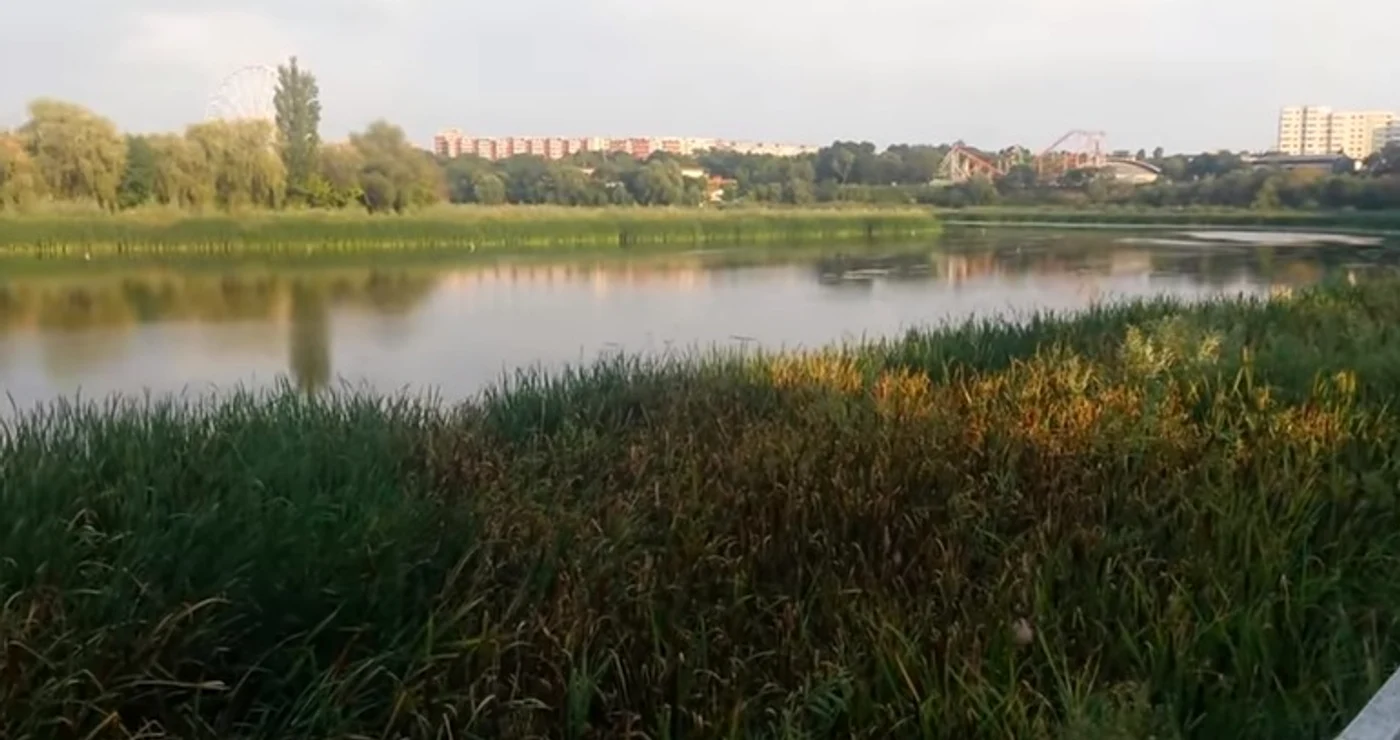 
    Locul unde familia lui Cristi Borcea vrea să construiască blocuri este la 30 de metri de lacFoto: profit.ro  