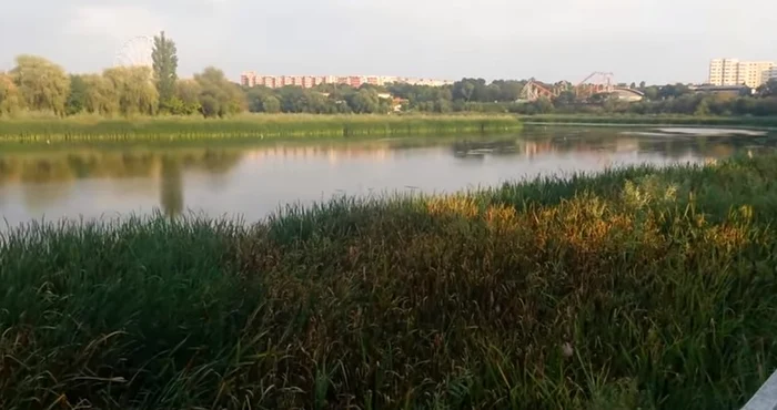 
    Locul unde familia lui Cristi Borcea vrea să construiască blocuri este la 30 de metri de lacFoto: profit.ro  