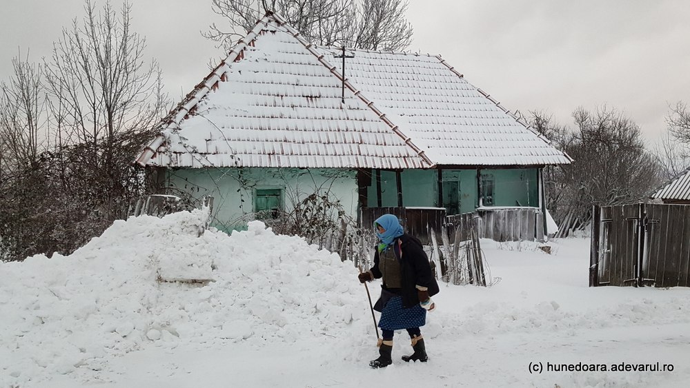 Tineri mutați din oraș în sat, viața la țară și provocările întâmpinate | sursa foto: Adevarul