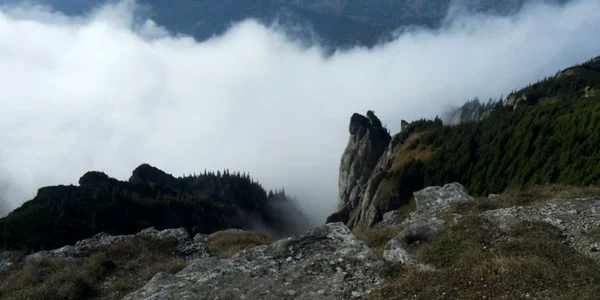ceahlau