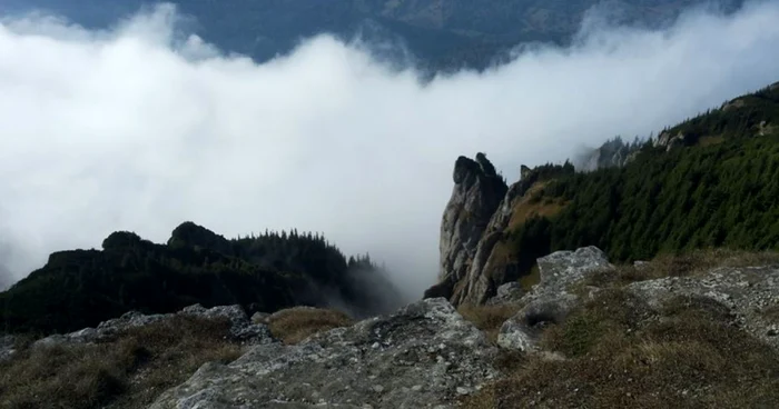 Masivul Ceahlău a devenit un teritoriu cucerit şi de câinii madanezi FOTO Florin Jbanca