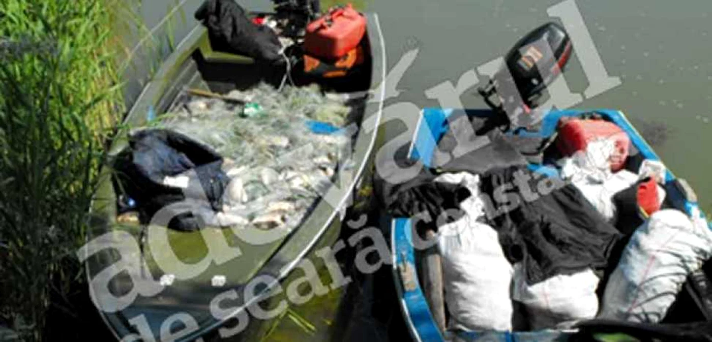 Plasele, peştele şi bărcile au fost confiscate