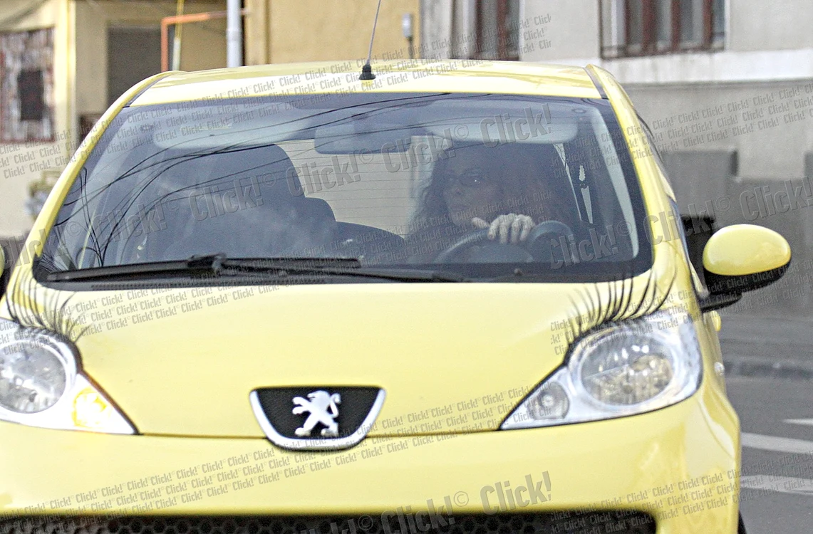 
    Frumoasa blondă  a fost foarte veselă  alături de amicii ei  