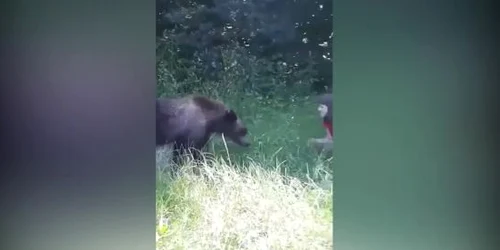 5d1a39a0892c0bb0c60256fa jpg