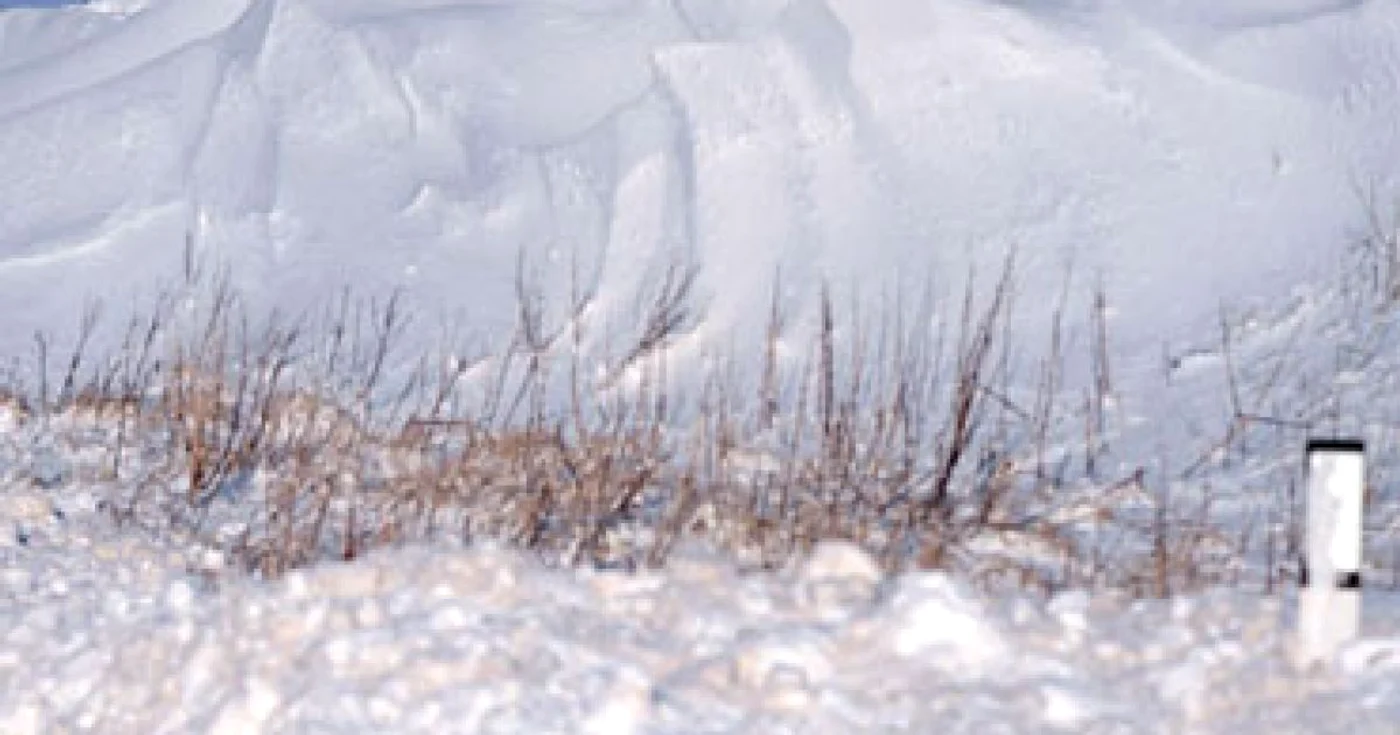 Cea mai rece noapte de până acum a sezonului: -1 grad Celsius la Întorsura Buzăului