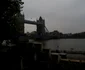 DSC06436 JPG