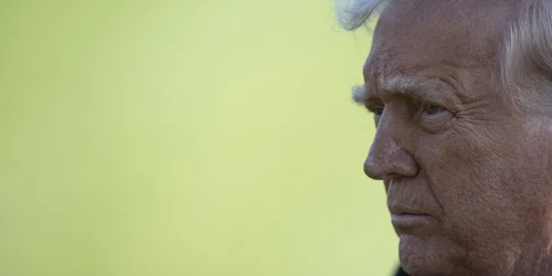 profimedia 0977855253 jpg