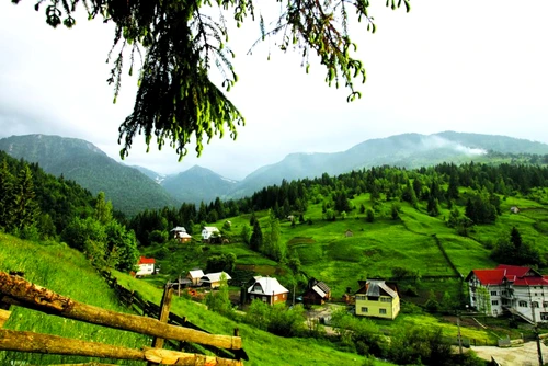 1 63103 original jpg jpeg