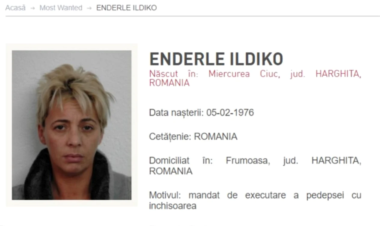 Enderle Ildiko