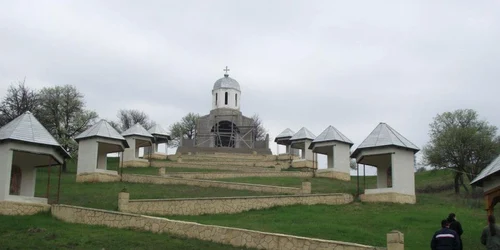 cerbu tulcea