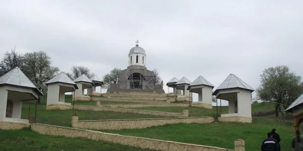 cerbu tulcea