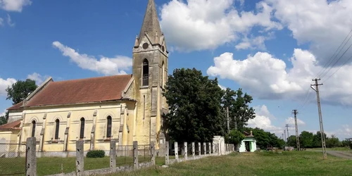 Colonia Bulgară a ajuns "colonia oilor"