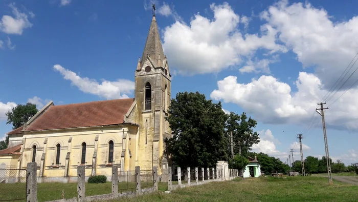 Colonia Bulgară a ajuns "colonia oilor" FOTO Ştefan Both