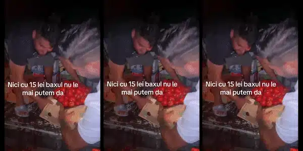 rosii gif
