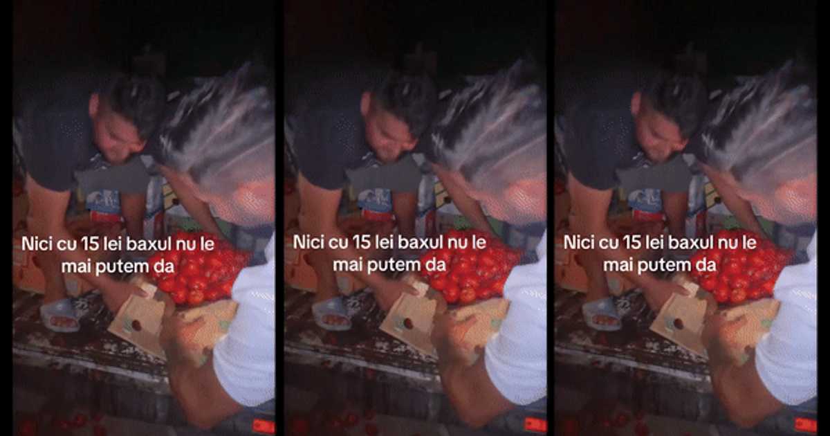 Imagini virale cu fermierii români care aruncă tone de roșii din cauza prețului derizoriu. Programul „Tomata” sărăcește micii producători VIDEO