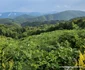 Privelisti de pe Transalpina Pădurenilor Foto Daniel Guță (9) jpg