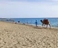 Antalya octombrie 2023 (3) jpg