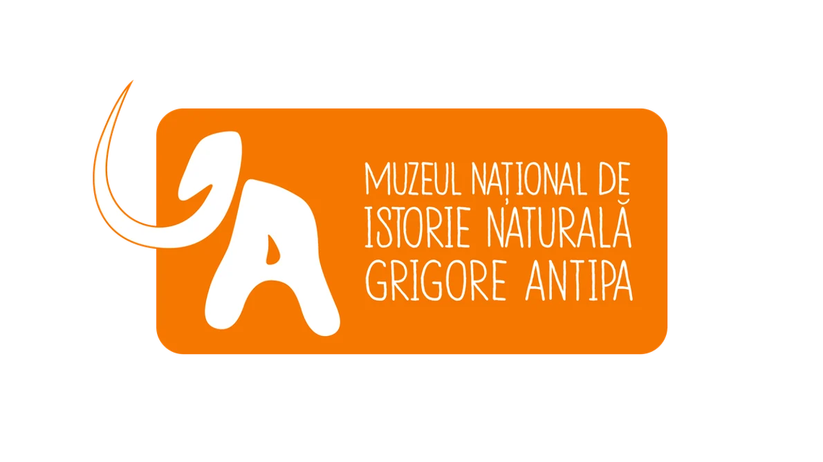 Muzeul Antipa are o nouă identitate vizuală png