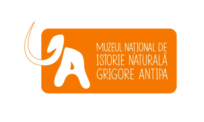 Muzeul Antipa are o nouă identitate vizuală png