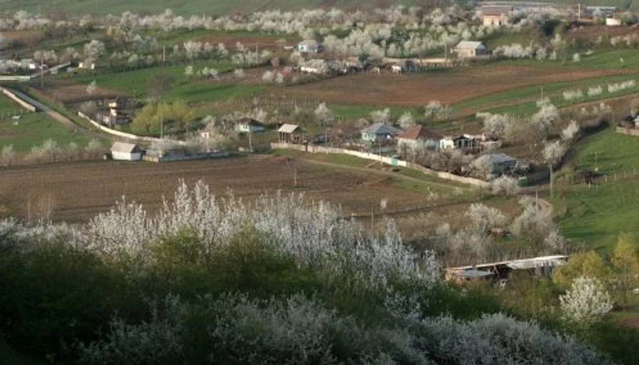 
    Comuna Bârnova este una dintre cele mai frumoase și bogate din IașiFoto: primariacomunabarnova.ro  