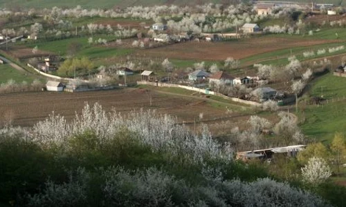 comuna birnova jpeg