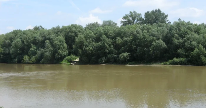 Arad: UPDATE :A fost găsit al doilea copil înecat în Mureş (VIDEO)