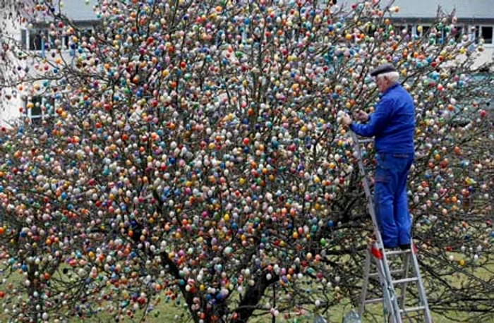 Volker Kraft în timp ce ornează pomul din curte Foto: Reuters