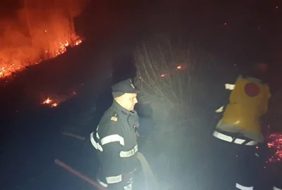 incendiu padure pietrosita