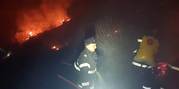 incendiu padure pietrosita