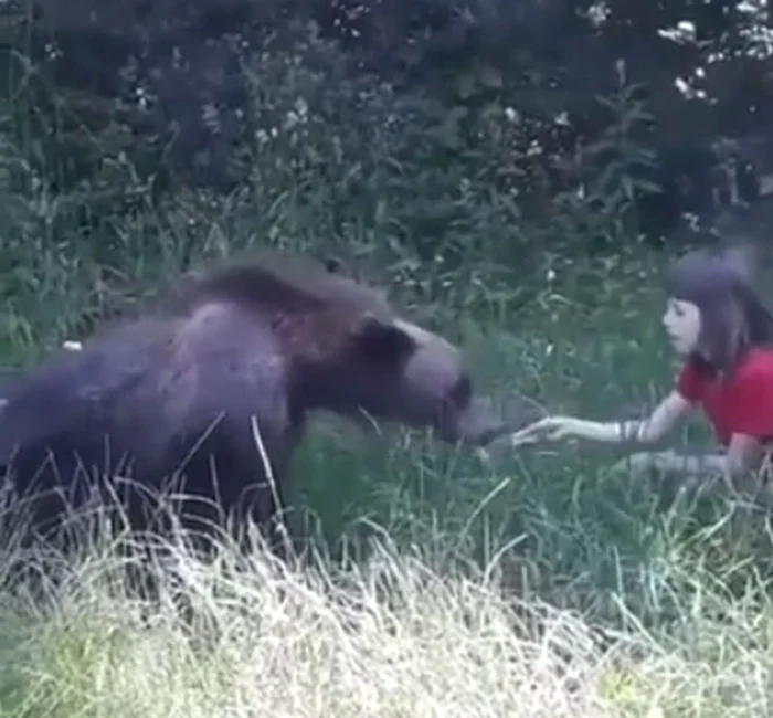 
    Copilul i-a dat ursului mai multe felii de șuncăFoto: captură video  