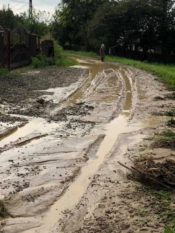 inundatii