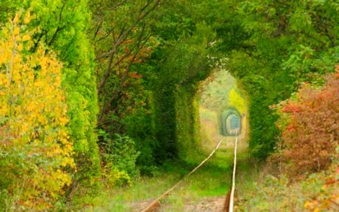 Tunelul dragostei FOTO Trilulilu